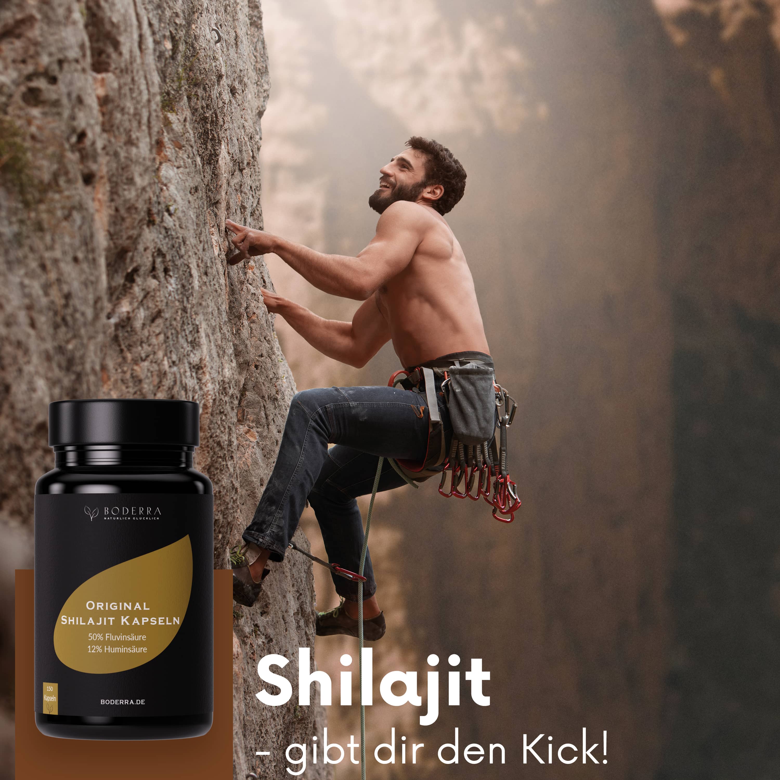 Original Mumijo Shilajit Kapseln