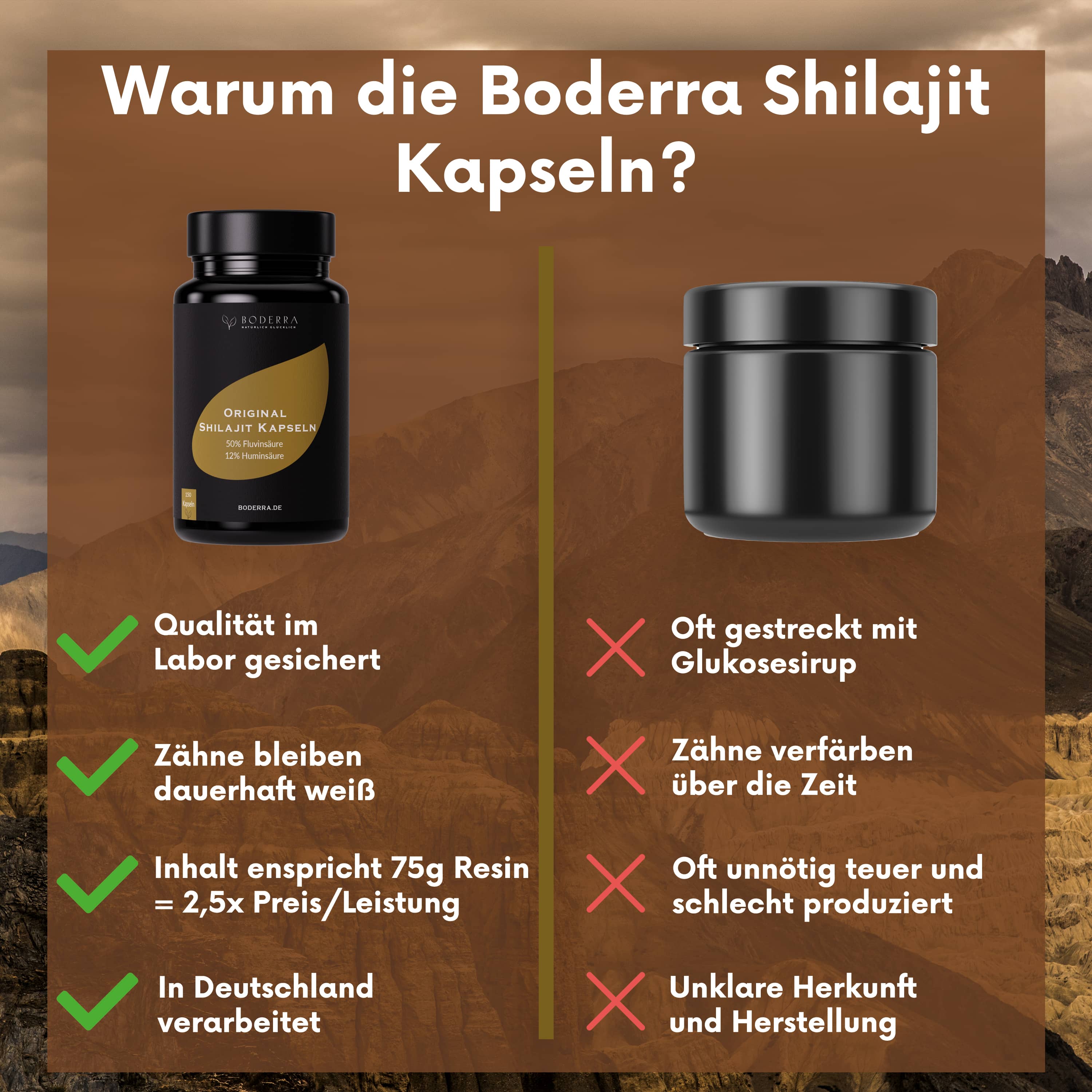 Original Mumijo Shilajit Kapseln