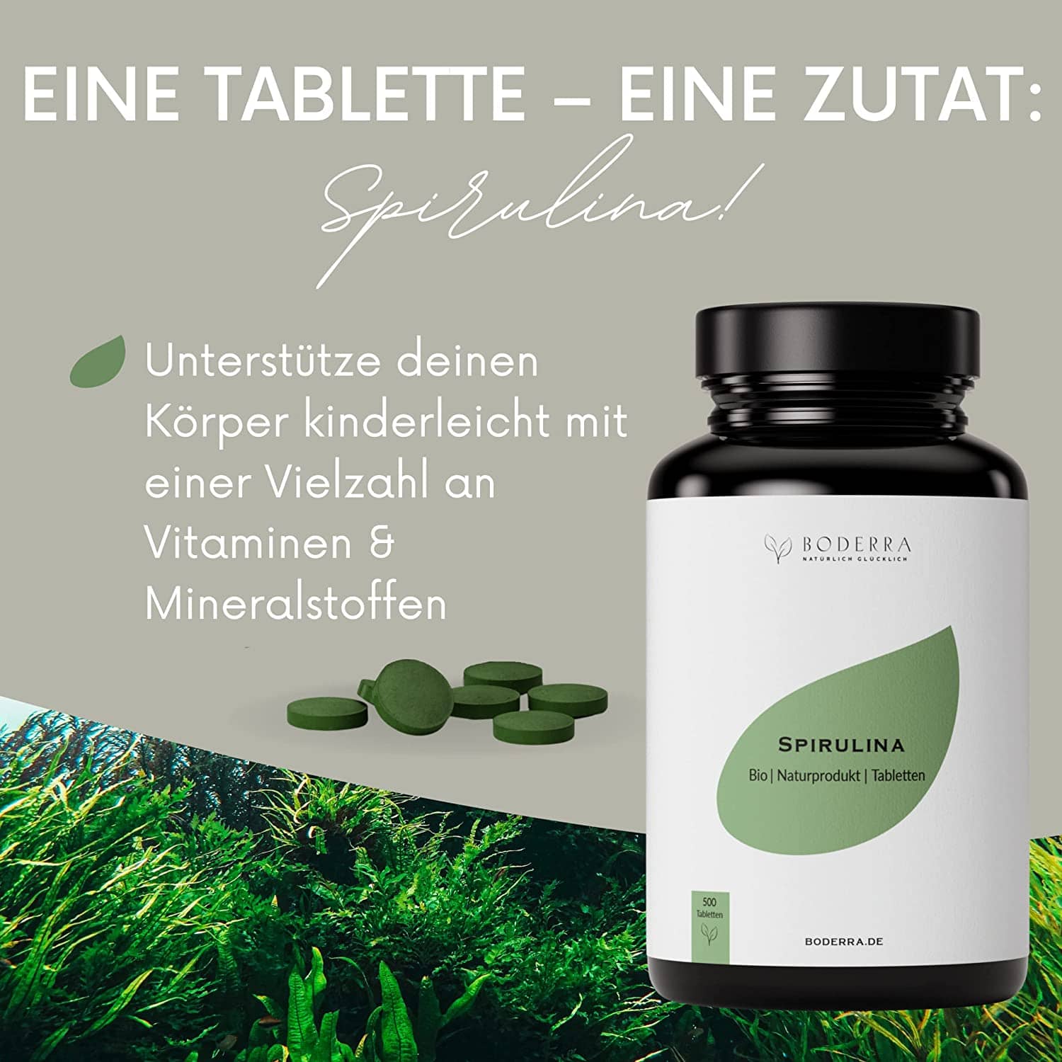 BIO Spirulina Tabletten